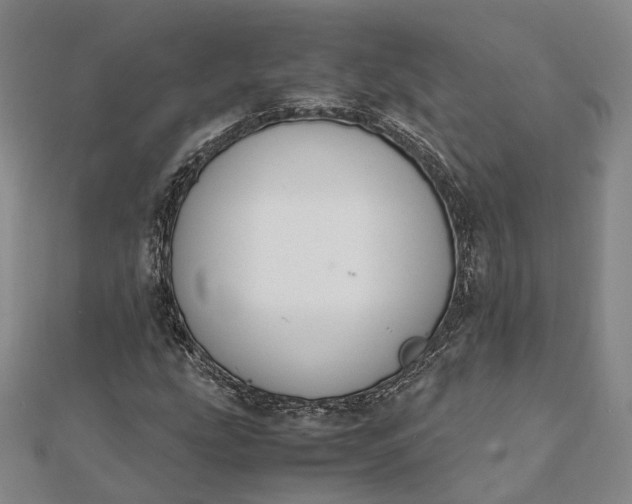 X0000111851207200908061307