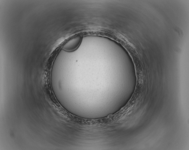 X0000111851208200908061307