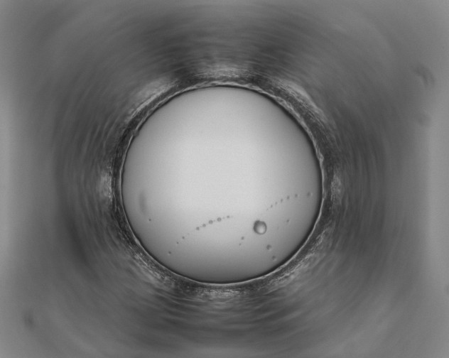 X0000111851209200908061307