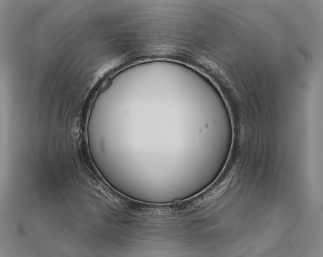 X0000111851210200908061307