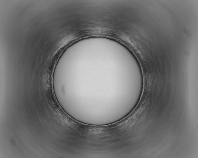 X0000111851211200908061307