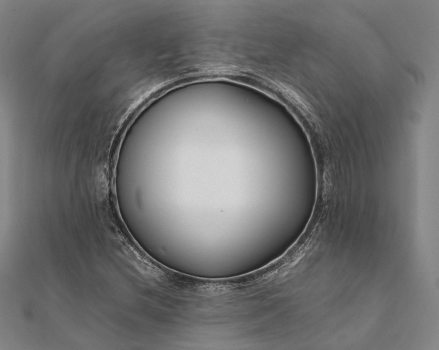 X0000111851212200908061307