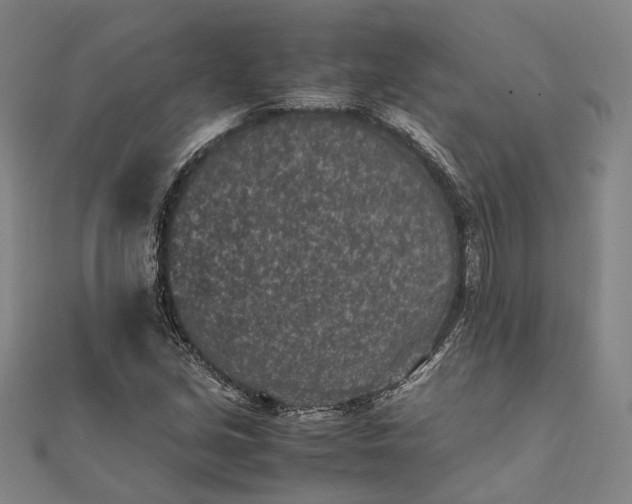 X0000111851213200908061307