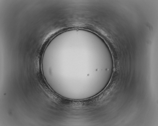 X0000111851214200908061307