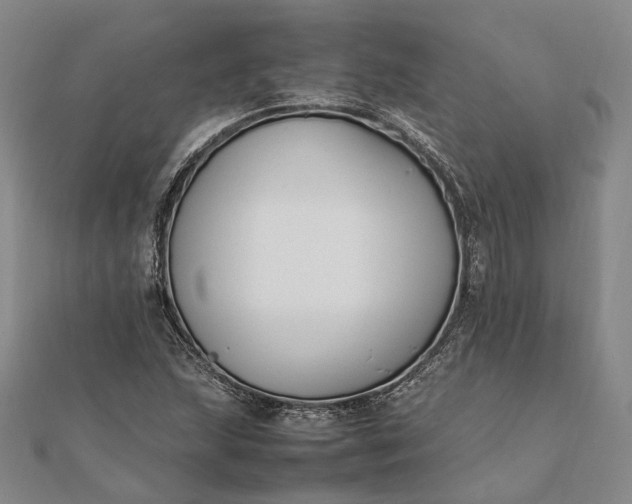 X0000111851215200908061307