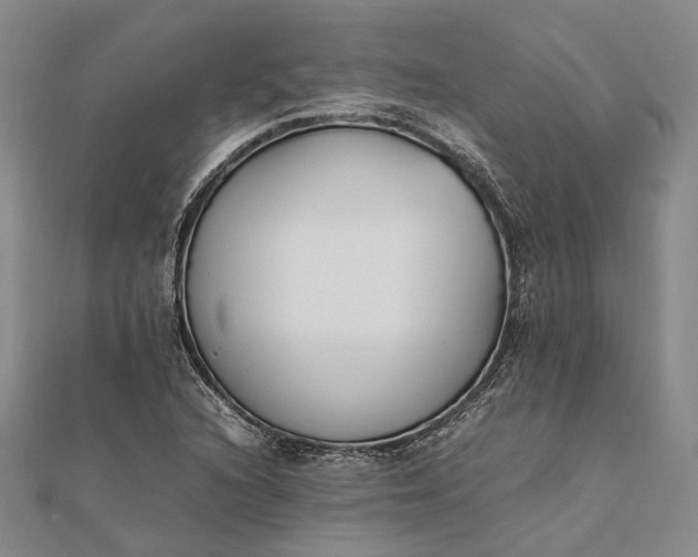 X0000111851216200908061307