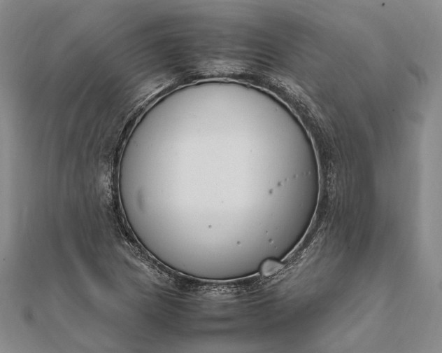 X0000111851217200908061307