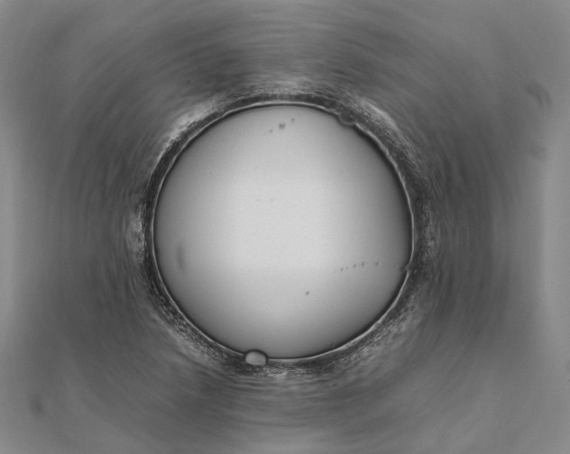 X0000111851218200908061307