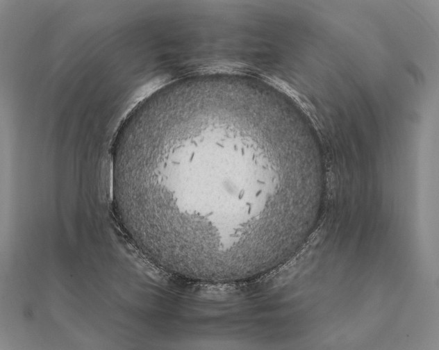 X0000111851219200908061307