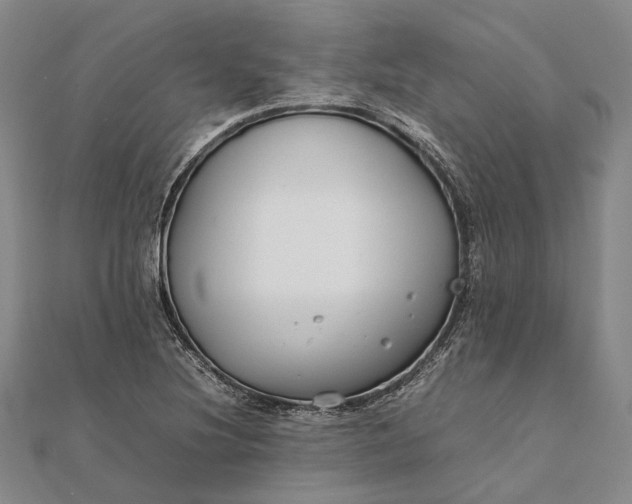 X0000111851220200908061307