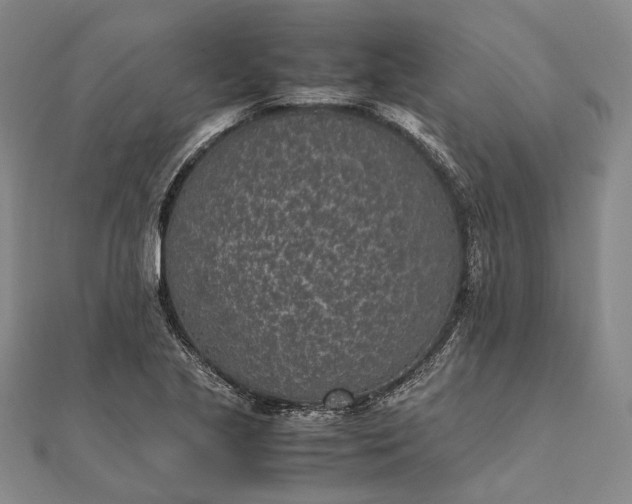 X0000111851221200908061307