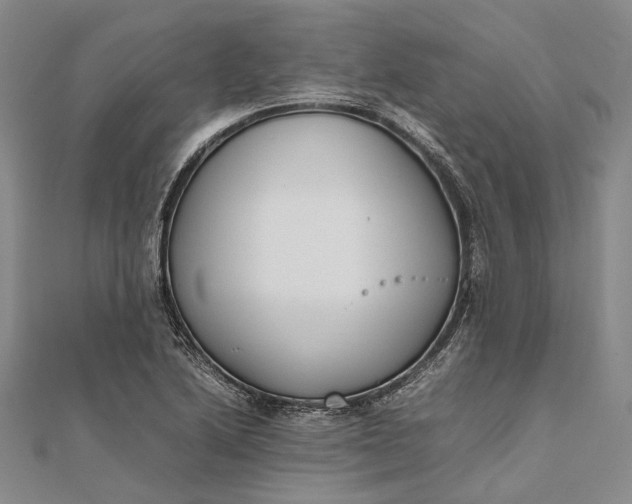 X0000111851222200908061307