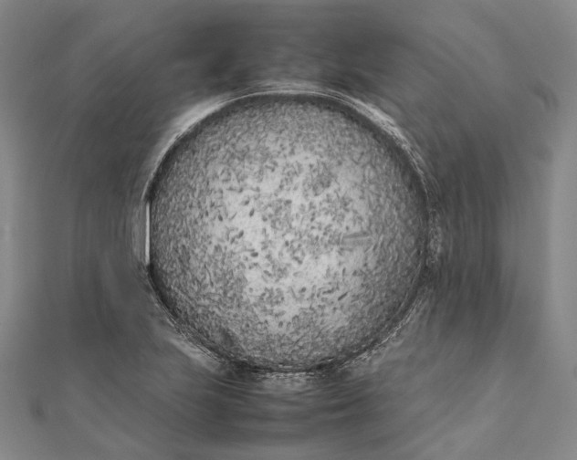 X0000111851223200908061307