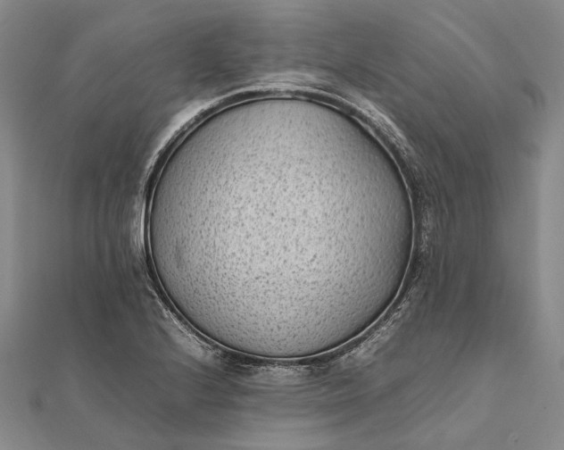 X0000111851224200908061307