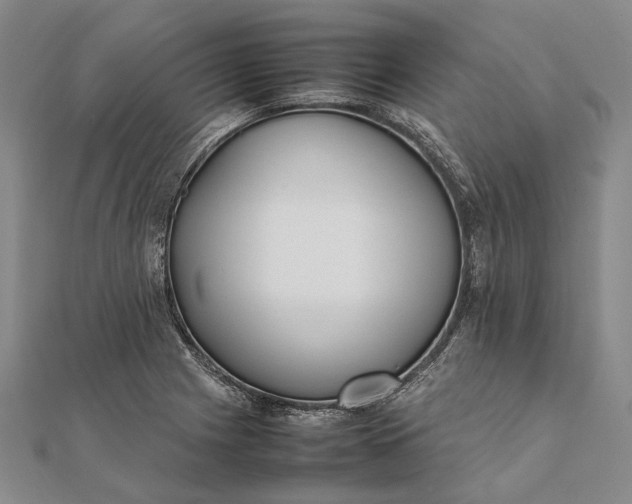 X0000111851225200908061307