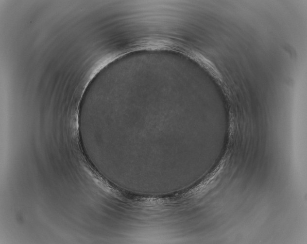 X0000111851226200908061307