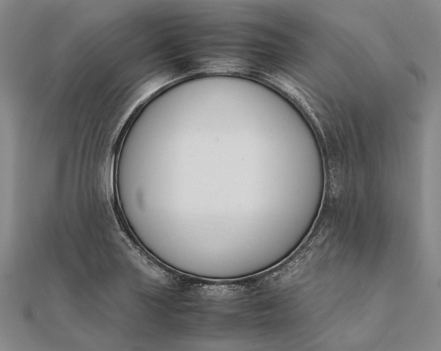 X0000111851227200908061307