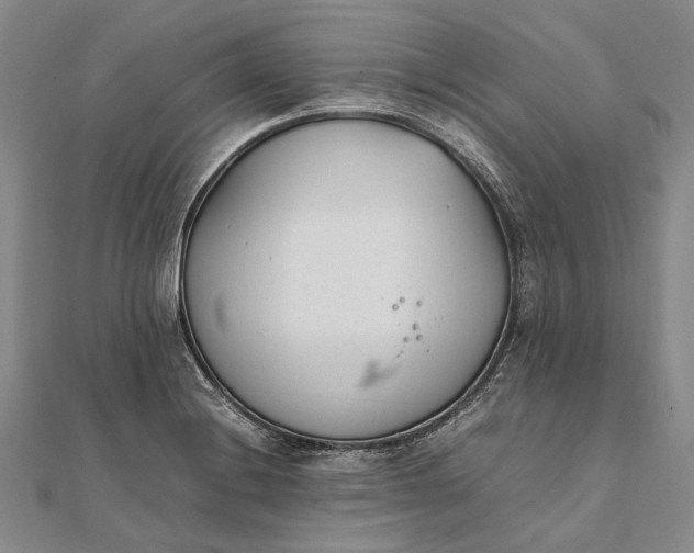 X0000111851228200908061307