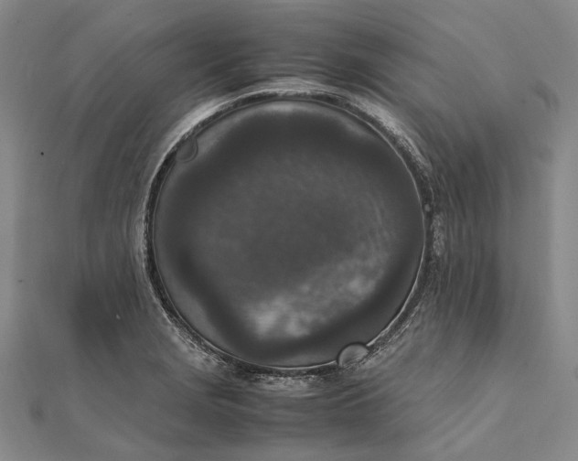 X0000111851229200908061307