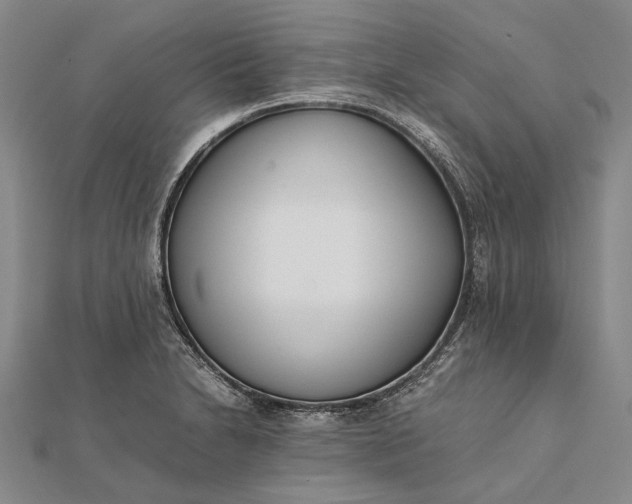 X0000111851230200908061307