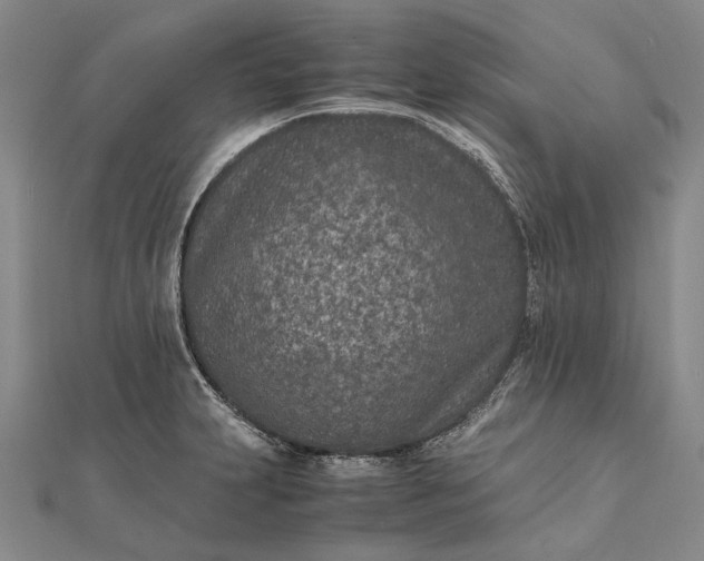 X0000111851231200908061307