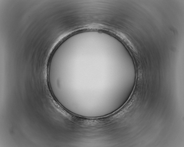 X0000111851232200908061307