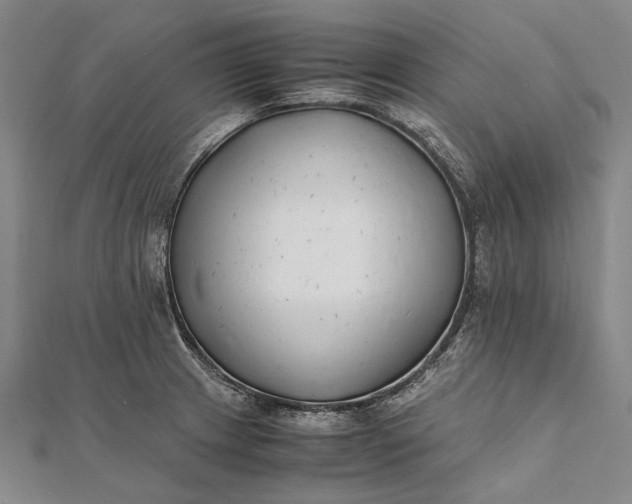 X0000111851233200908061307