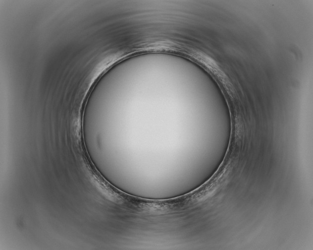 X0000111851234200908061307