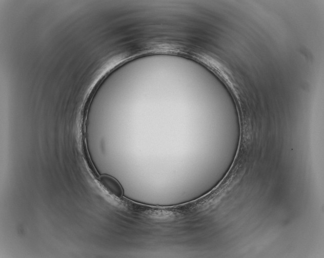 X0000111851235200908061307