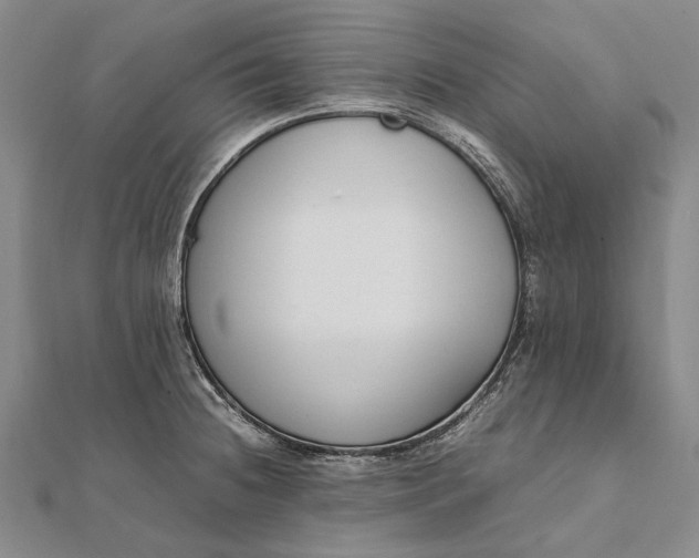 X0000111851236200908061307