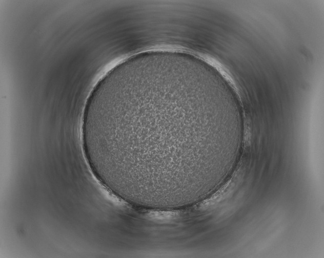 X0000111851237200908061307