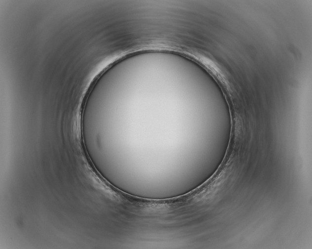 X0000111851238200908061307