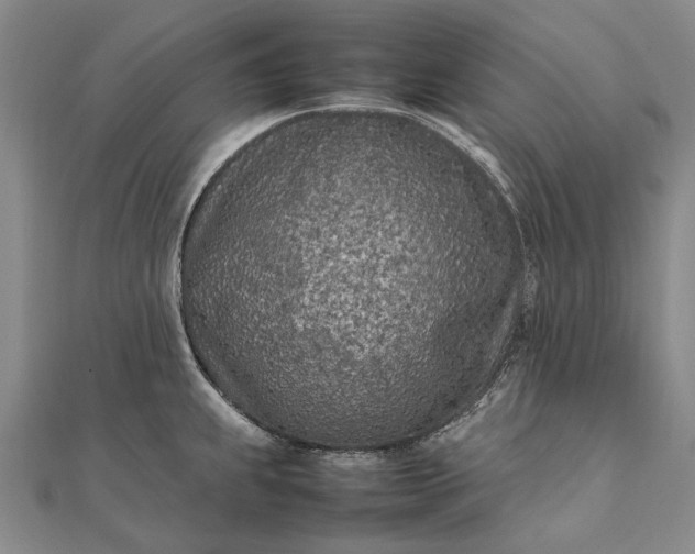 X0000111851239200908061307