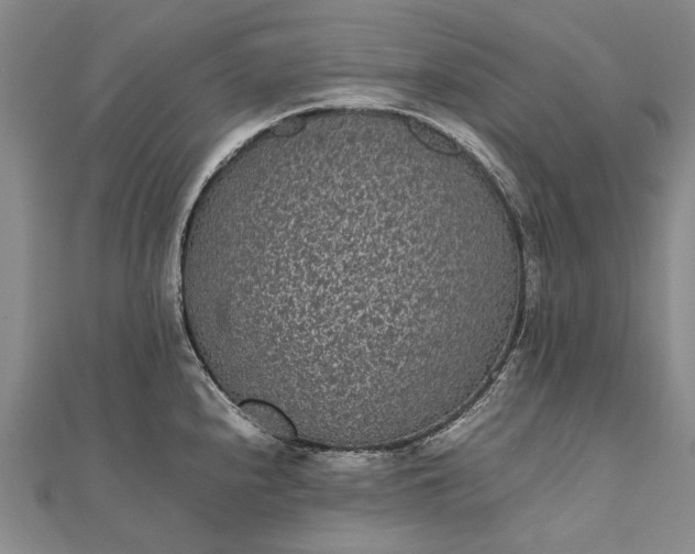 X0000111851240200908061307