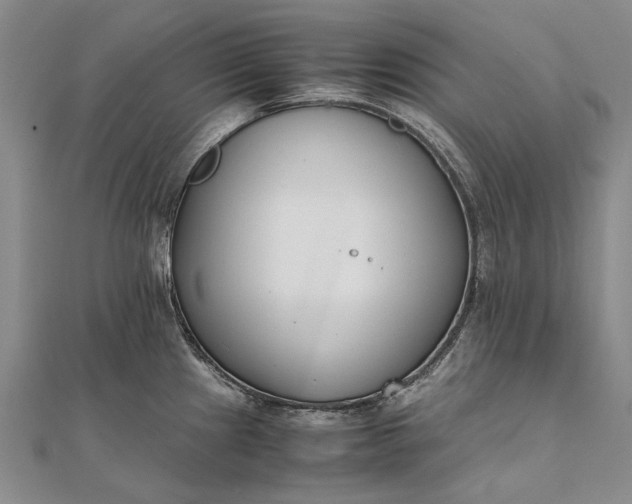 X0000111851241200908061307