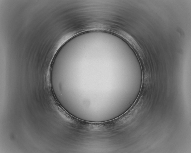 X0000111851242200908061307