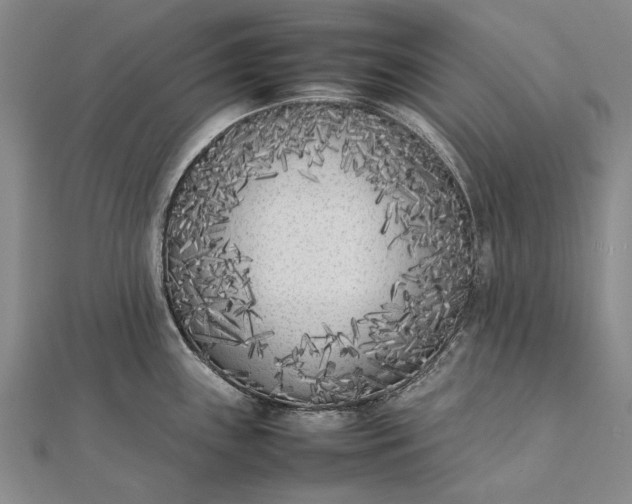 X0000111851243200908061307