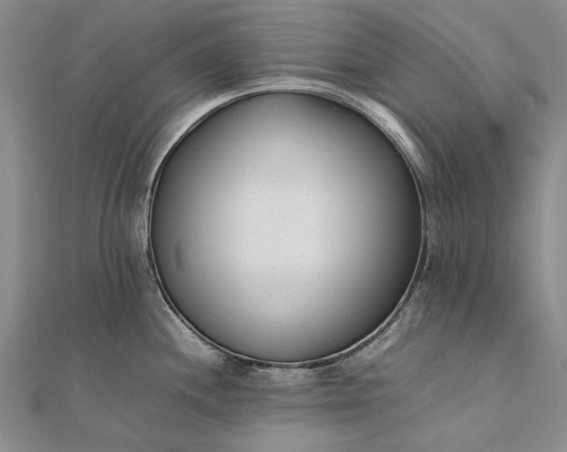 X0000111851244200908061307