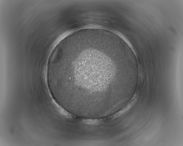 X0000111851245200908061307