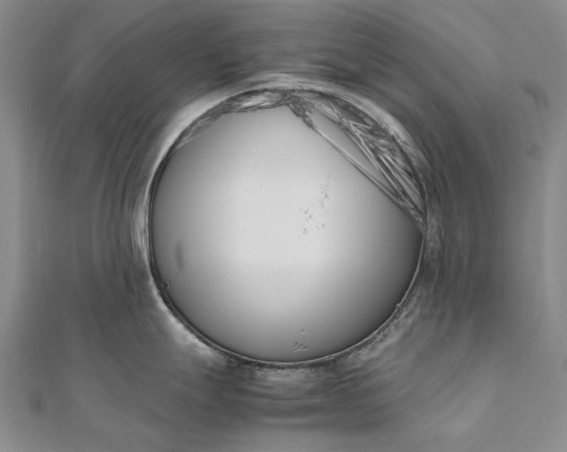 X0000111851247200908061307