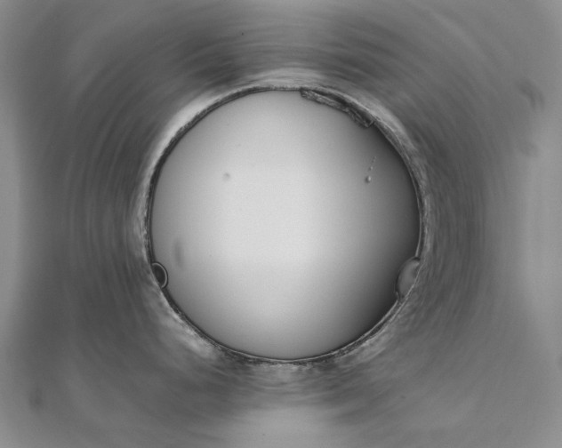 X0000111851248200908061308