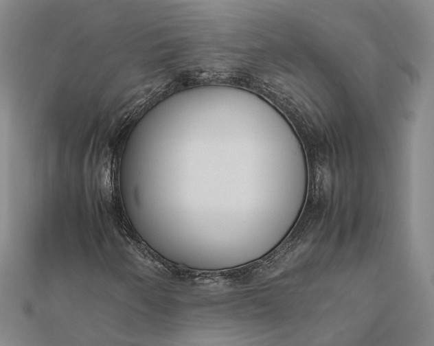 X0000111851250200908061307