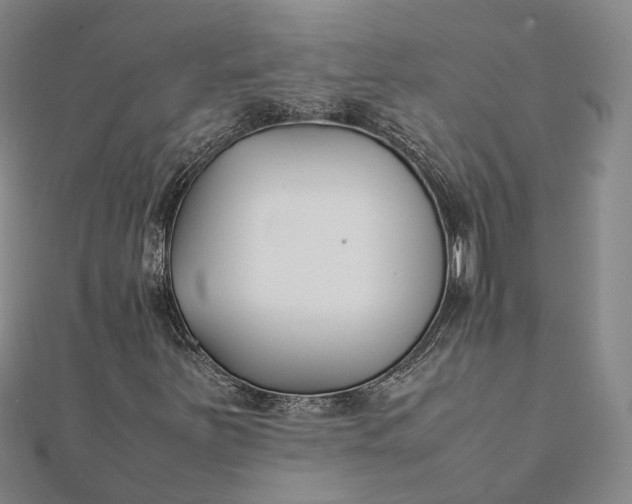 X0000111851251200908061307