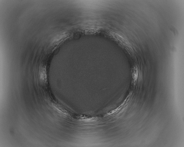 X0000111851252200908061307