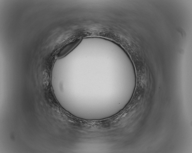 X0000111851253200908061307