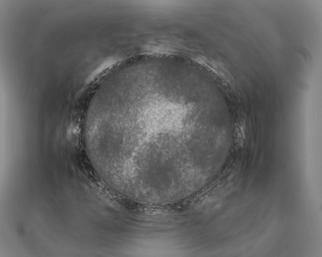 X0000111851254200908061307