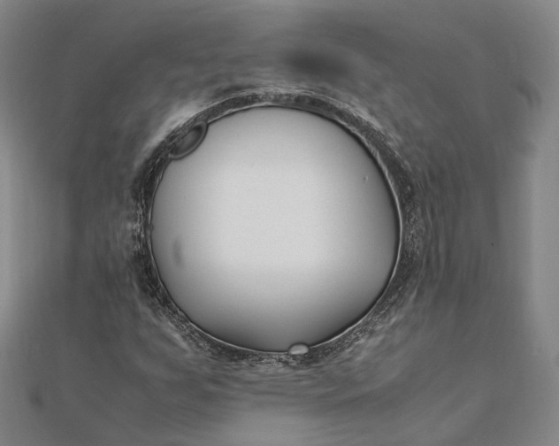 X0000111851255200908061307