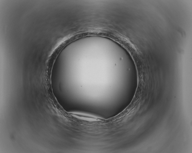 X0000111851256200908061307