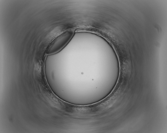 X0000111851257200908061307