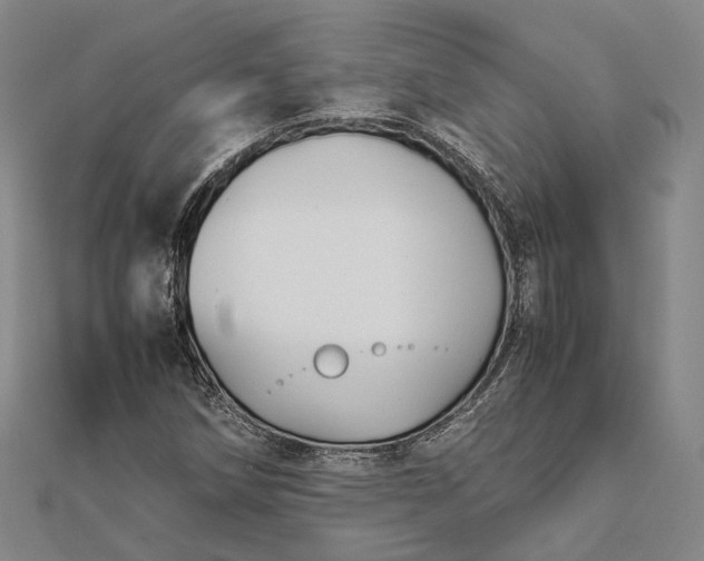 X0000111851258200908061307